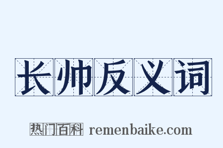 长帅反义词是什么意思的图片